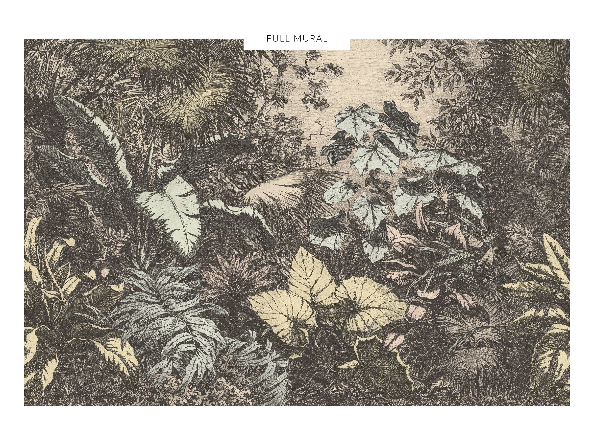 Wild Jungle - Trailblazer