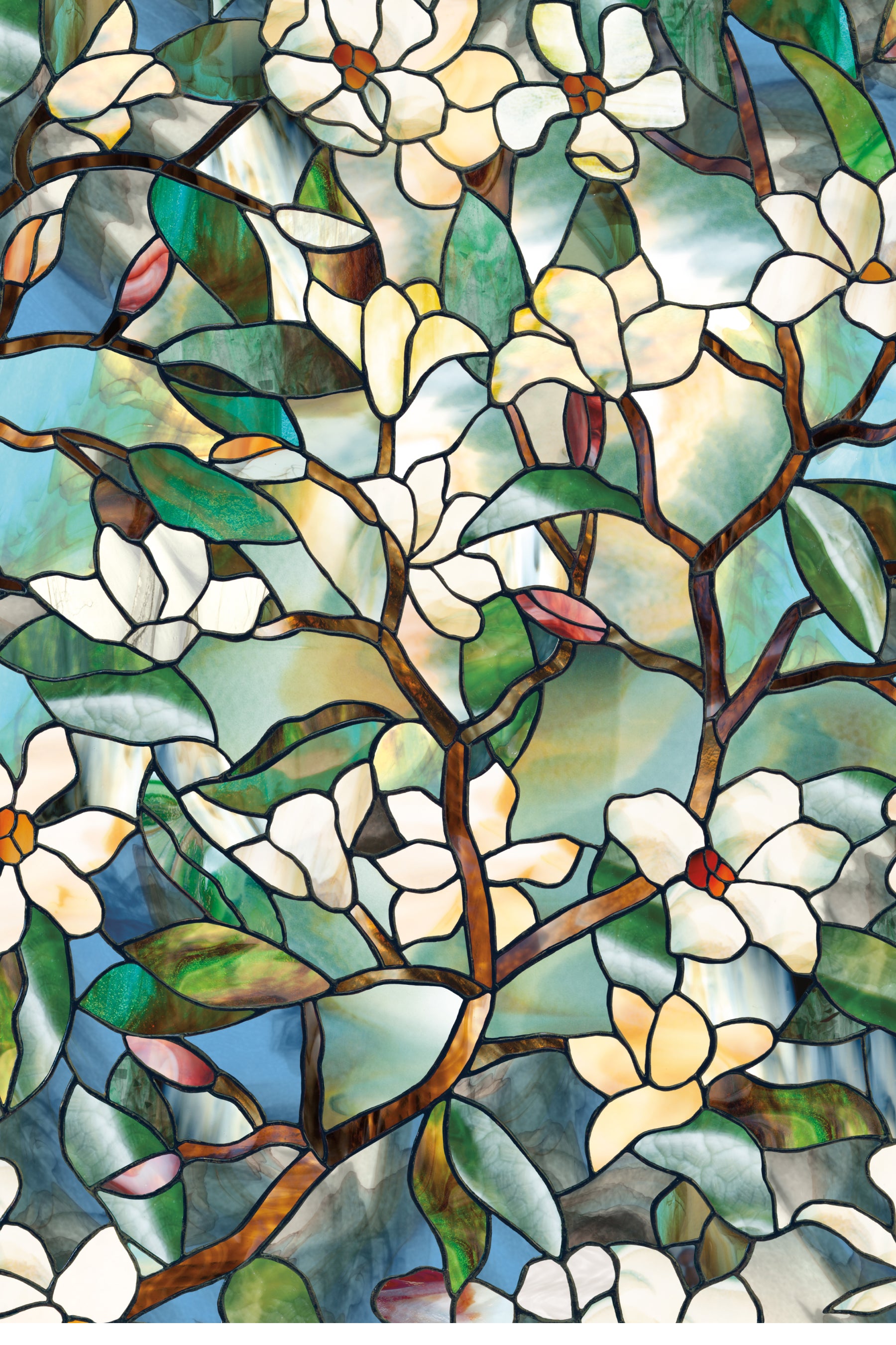 Winter Magnolia