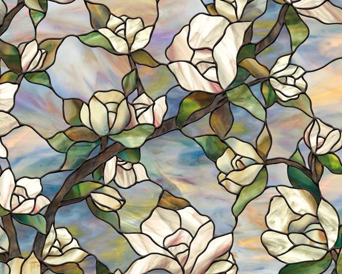 Star Magnolia